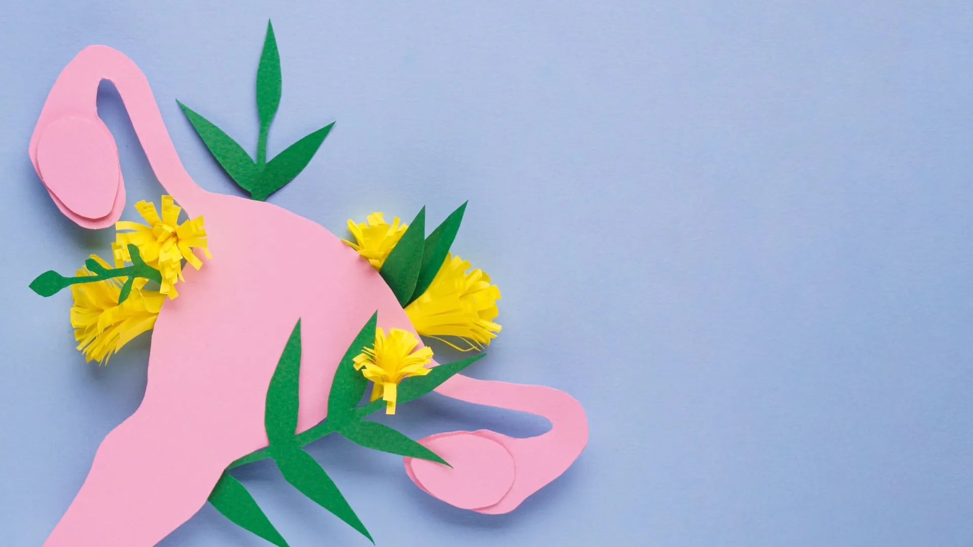 Do Panty Liners Prevent Odor? Everything You Need to Know Dr. Snug