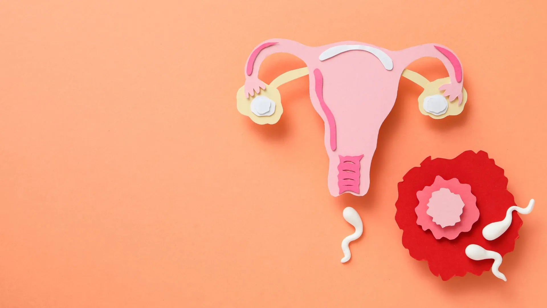 Understanding Anovulation Symptoms and Treatment – Dr. Snug
