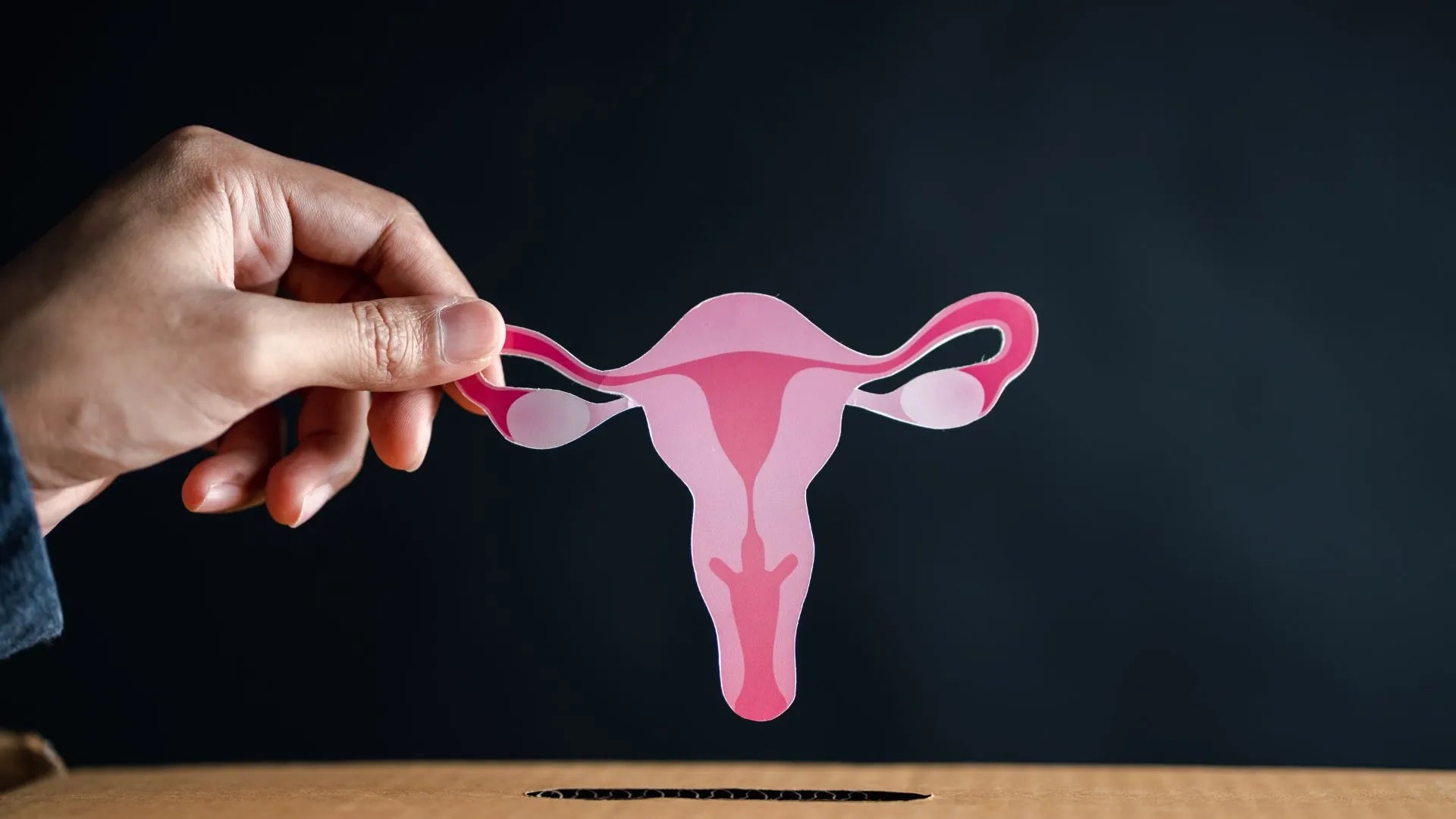 How is PCOS Test Done? – Dr. Snug